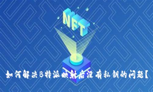 如何解决B特派映射后没有私钥的问题?