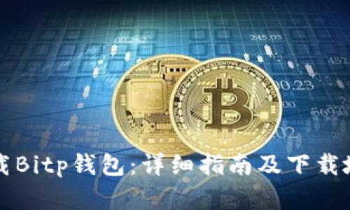 如何下载Bitp钱包:详细指南及下载地址解析