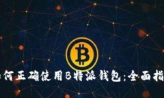 如何正确使用B特派钱包：全面指南