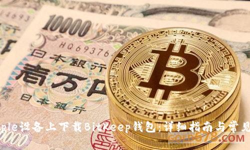 如何在Apple设备上下载BitKeep钱包:详细指南与常见问题解答