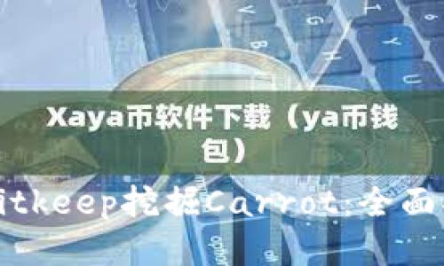 如何通过Bitkeep挖掘Carrot:全面指南与技巧