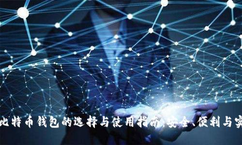 瑞典比特币钱包的选择与使用指南:安全、便利与实用性
