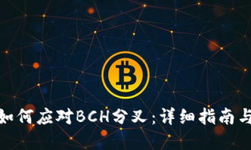 硬件钱包如何应对BCH分叉:详细指南与实用技巧