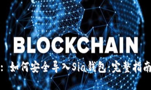 : 如何安全导入Sia钱包：完整指南