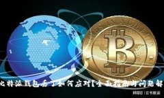  比特派钱包丢了如何应对？全面指南