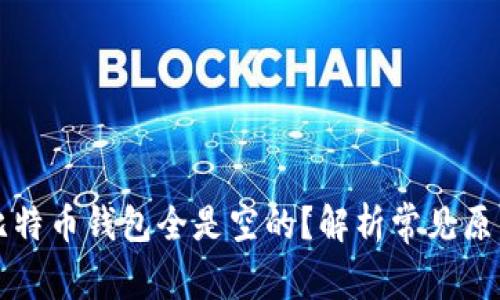 为什么我的比特币钱包全是空的?解析常见原因及解决方案