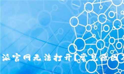 为什么b特派官网无法打开？常见原因及解决方案