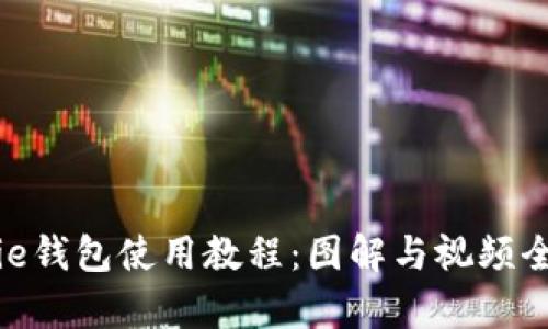 Bitpie钱包使用教程：图解与视频全解析