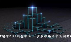 如何安装BitP钱包软件：一步步指南与