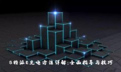 B特派E充电方法详解：全面指导与技巧