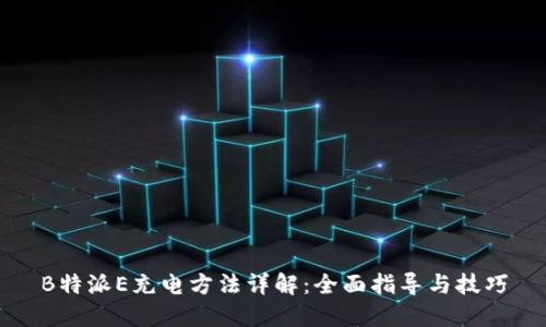 B特派E充电方法详解：全面指导与技巧