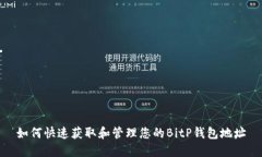 如何快速获取和管理您的BitP钱包地址