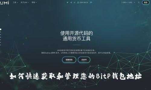 如何快速获取和管理您的BitP钱包地址
