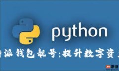 如何选择合适的比特派钱包靓号：提升