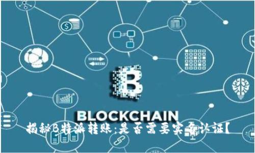 揭秘B特派转账：是否需要实名认证？