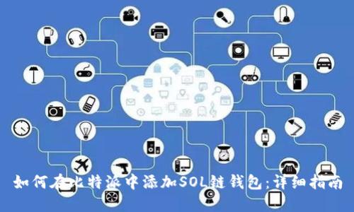 如何在比特派中添加SOL链钱包：详细指南