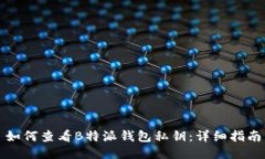 如何查看B特派钱包私钥：详细指南