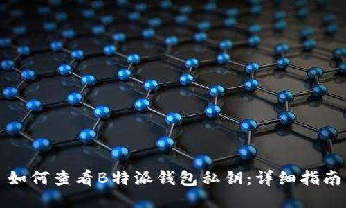 如何查看B特派钱包私钥：详细指南