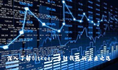 深入了解BitKeep：多链钱包的未来之选