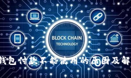 b特派钱包付款不能使用的原因及解决办法