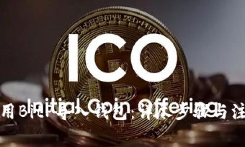 如何使用BitP导入钱包：详尽步骤与注意事项