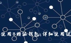 如何高效使用B特派钱包：详细使用说