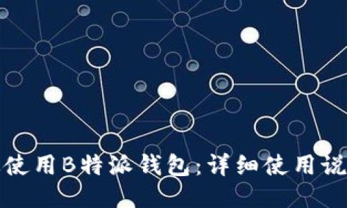如何高效使用B特派钱包：详细使用说明与技巧