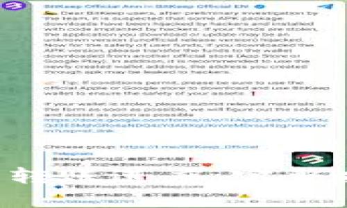 如何查看B特派转账进度：完整指南与实用技巧