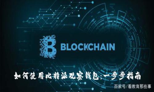 如何使用比特派观察钱包：一步步指南