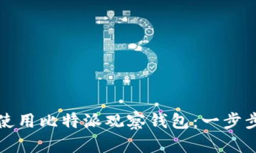 如何使用比特派观察钱包：一步步指南