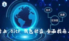 如何有效防止 BitP 钱包被盗：全面指南