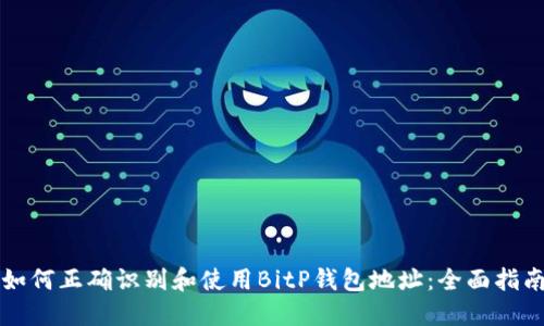 如何正确识别和使用BitP钱包地址：全面指南