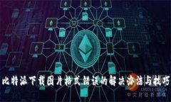 比特派下载图片格式错误的解决办法与技巧
