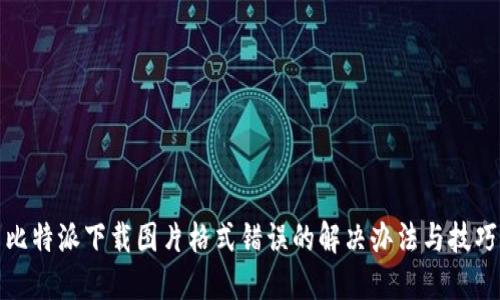 比特派下载图片格式错误的解决办法与技巧