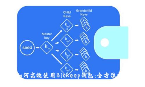 如何高效使用BitKeep钱包：全方位指南