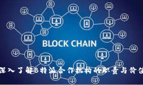 深入了解B特派合作机构的职责与价值