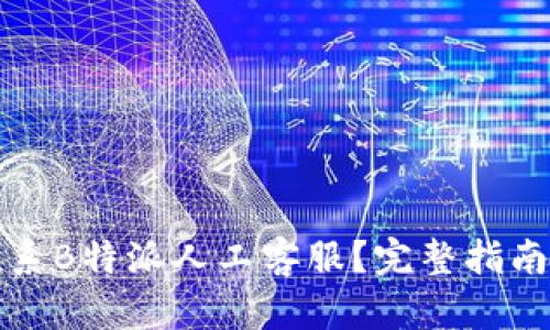 如何联系B特派人工客服？完整指南与技巧