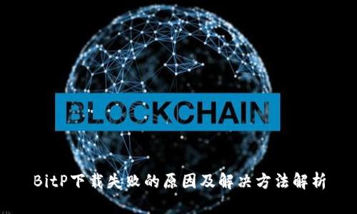 BitP下载失败的原因及解决方法解析