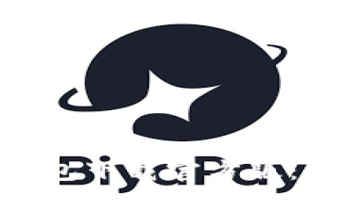 安全便捷的B特派钱包下载官方版：全面指南与使用技巧