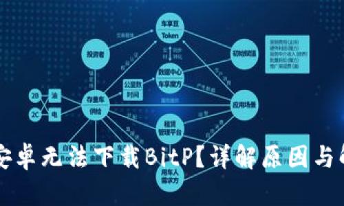 为什么安卓无法下载BitP？详解原因与解决方案