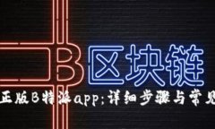 如何下载正版B特派app：详细步骤与常