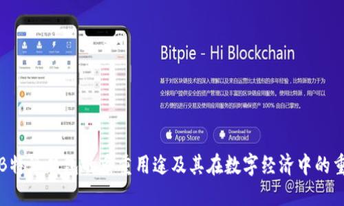 理解B特派钱包的多重用途及其在数字经济中的重要性