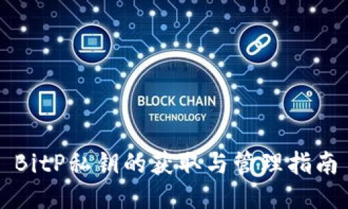 BitP私钥的获取与管理指南