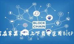 如何在苹果手机上下载并使用BitP应用