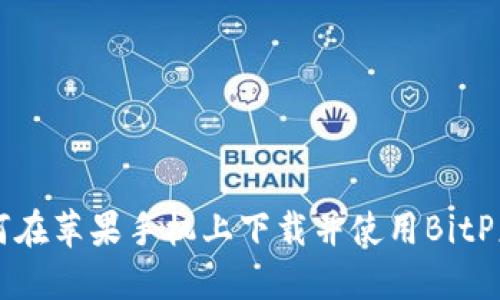 如何在苹果手机上下载并使用BitP应用