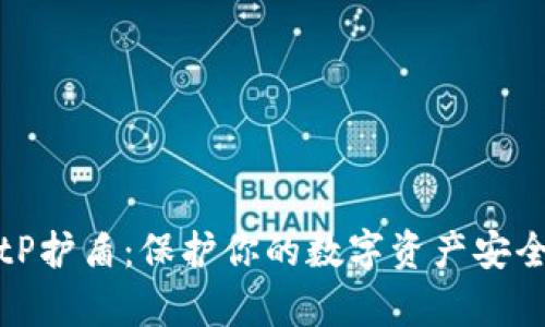 全面解析BitP护盾：保护你的数字资产安全的最佳工具