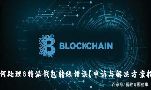 如何处理B特派钱包转账错误？申诉与解决方案指南