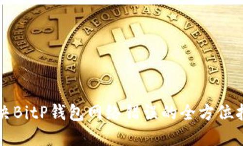 解决BitP钱包网络错误的全方位指南