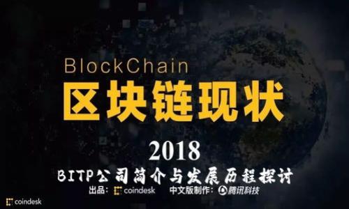 BITP公司简介与发展历程探讨
