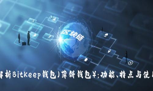 全面解析BitKeep钱包（薄饼钱包）：功能、特点与使用指南